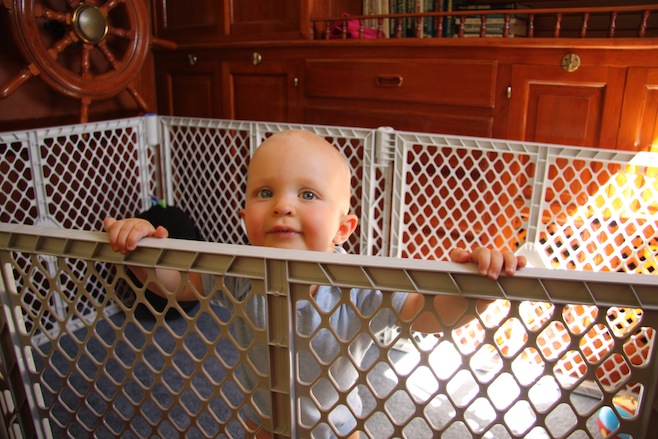 Cage